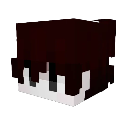 Fishboil Minecraft avatar head, 3D render