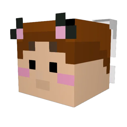 Fishboned Minecraft avatar head, 3D render
