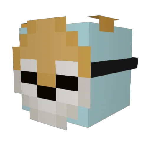 Fishbunn Minecraft avatar head, 3D render
