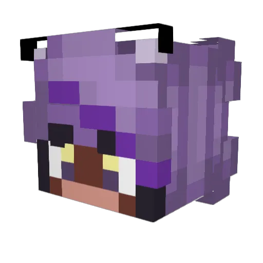 Fishcat67 Minecraft avatar head, 3D render
