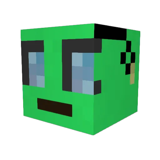 Fishcat Minecraft avatar head, 3D render