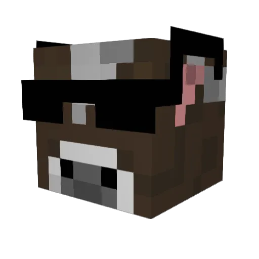 FisherPro3543 Minecraft avatar head, 3D render