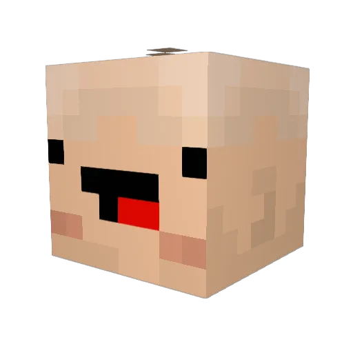 Fisher_48 Minecraft avatar head, 3D render