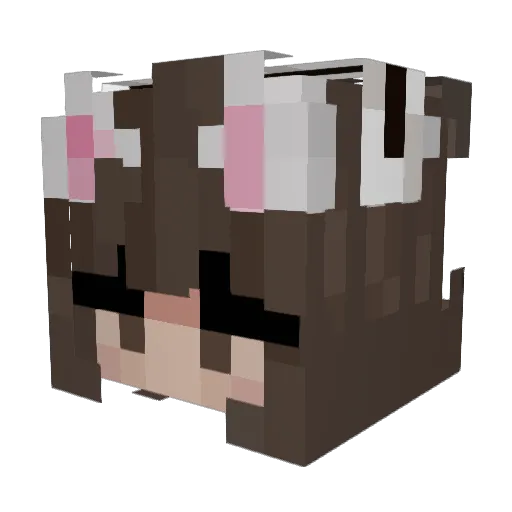 Fisherie Minecraft avatar head, 3D render