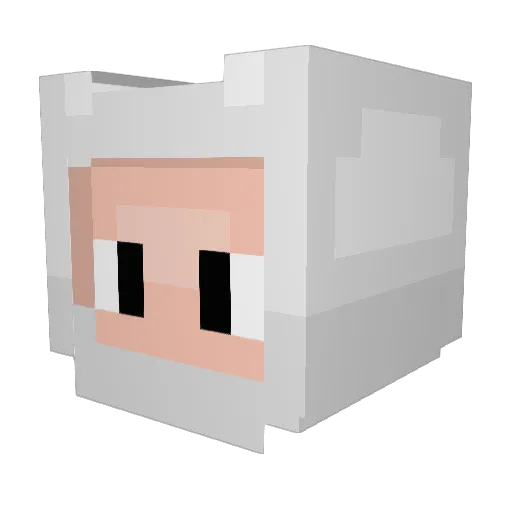 FishermanBrian Minecraft avatar head, 3D render