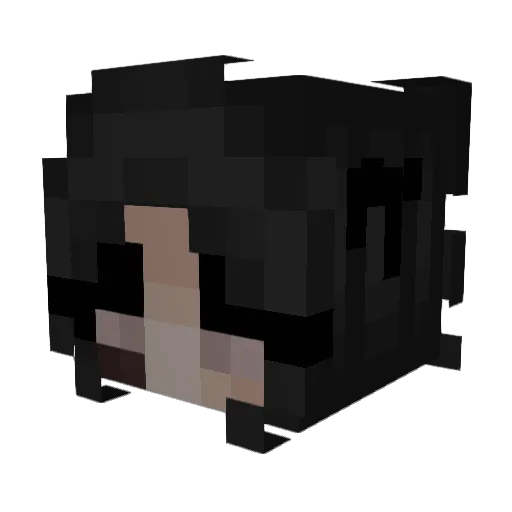 FishhFlakes Minecraft avatar head, 3D render