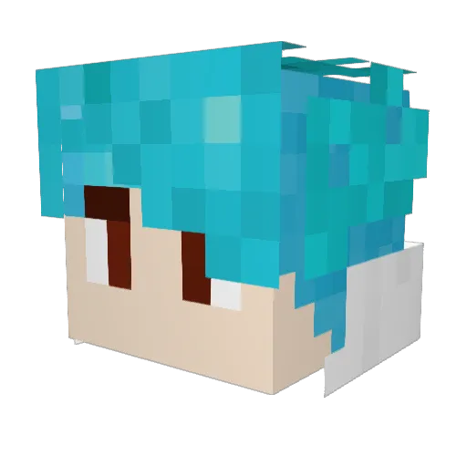 Fishi3 Minecraft avatar head, 3D render