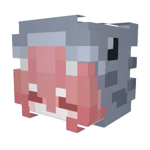 Fishi___ Minecraft avatar head, 3D render