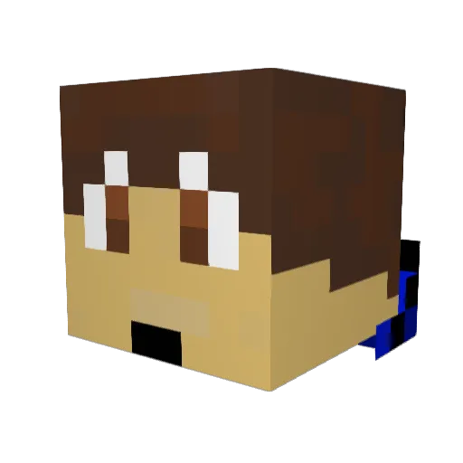 FishingMaster234 Minecraft avatar head, 3D render