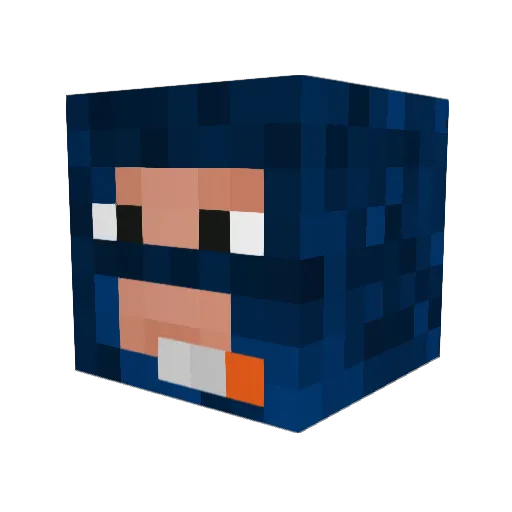 FishingSlave Minecraft avatar head, 3D render