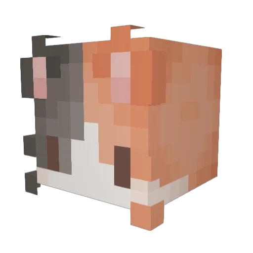 Fishingon611 Minecraft avatar head, 3D render