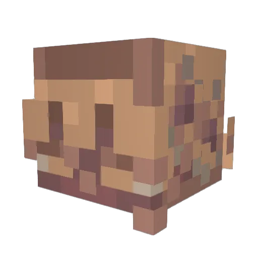 Fishio_ Minecraft avatar head, 3D render