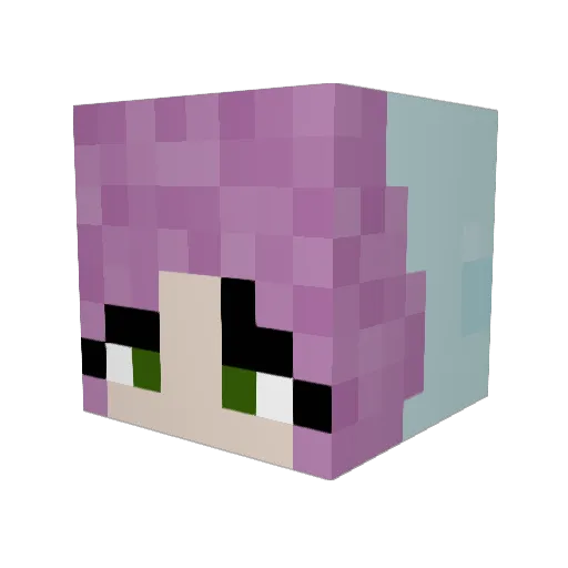 Fishirish949 Minecraft avatar head, 3D render