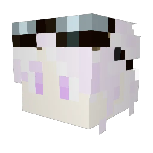Fishissofishy Minecraft avatar head, 3D render