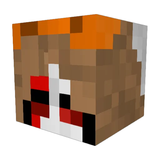 Fishlz Minecraft avatar head, 3D render