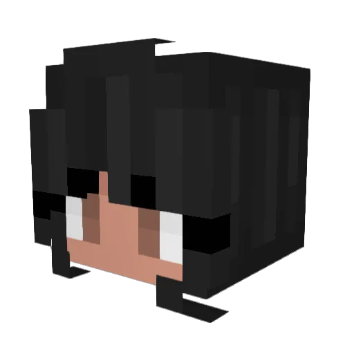 Fishn3t Minecraft avatar head, 3D render