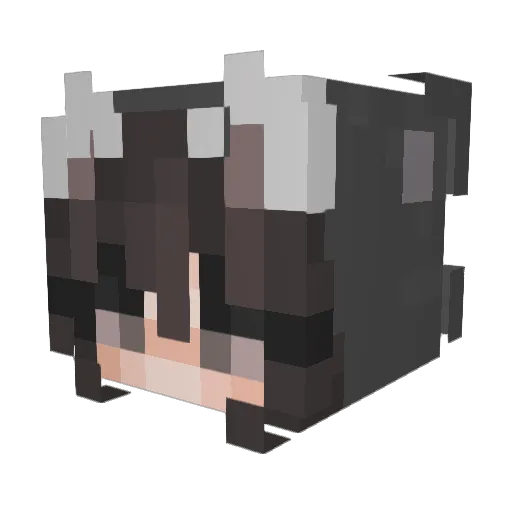 Fishro Minecraft avatar head, 3D render