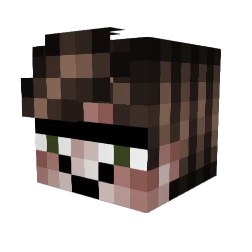 Fishskizzles Minecraft avatar head, 3D render
