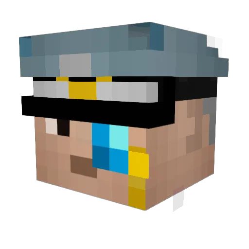 Fishstick54 Minecraft avatar head, 3D render