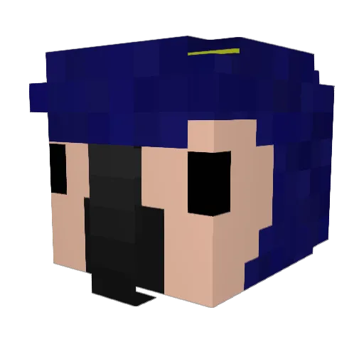 Fishxr Minecraft avatar head, 3D render