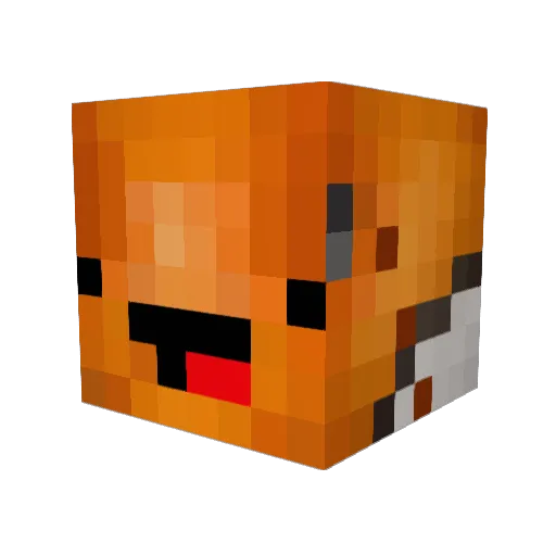 Fishy05 Minecraft avatar head, 3D render