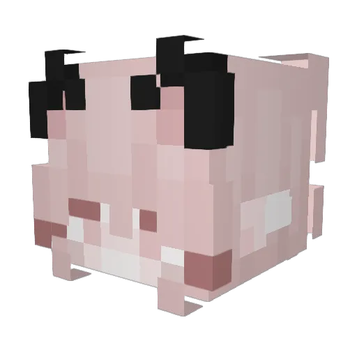 Fishy19633 Minecraft avatar head, 3D render