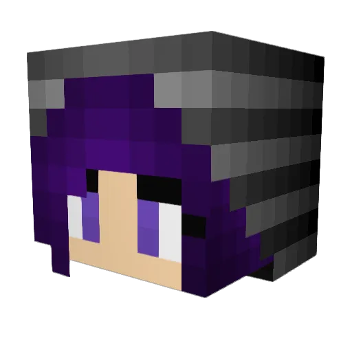 Fishy1sweat Minecraft avatar head, 3D render