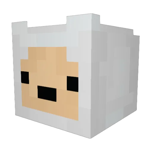 Fishy360 Minecraft avatar head, 3D render