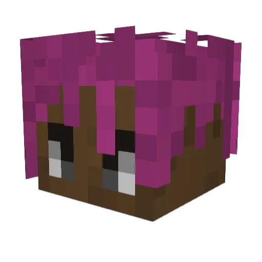 Fishy425 Minecraft avatar head, 3D render