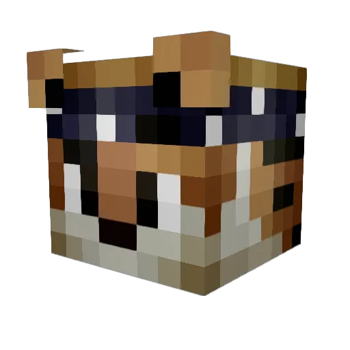 FishyDynamite Minecraft avatar head, 3D render