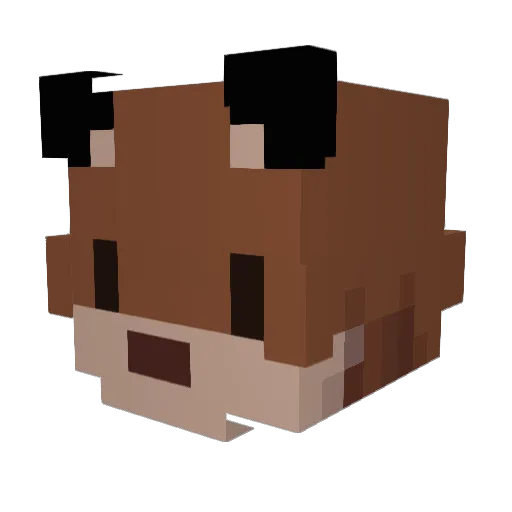 FishyOtters Minecraft avatar head, 3D render