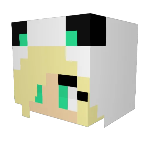 FishyTaco Minecraft avatar head, 3D render