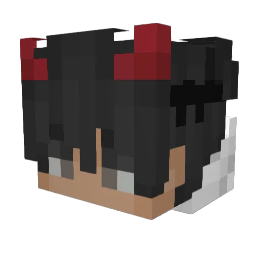 Fishy_King0 Minecraft avatar head, 3D render