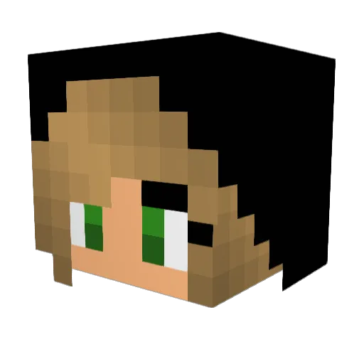 Fishyboi107 Minecraft avatar head, 3D render