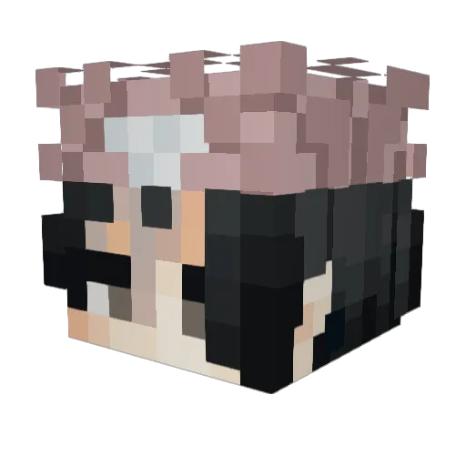 Fishycubes Minecraft avatar head, 3D render