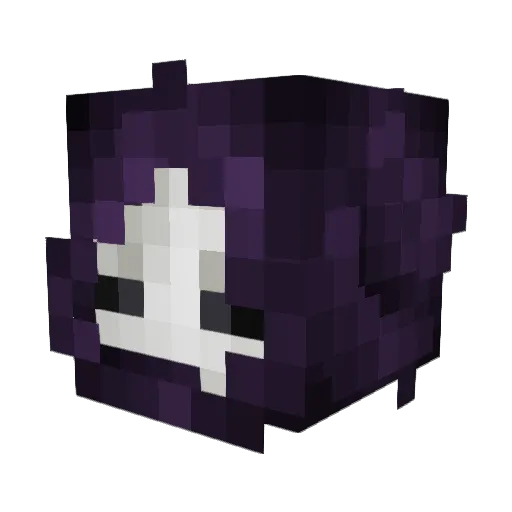 Fishyfs Minecraft avatar head, 3D render