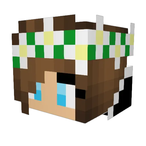 Fishynips Minecraft avatar head, 3D render