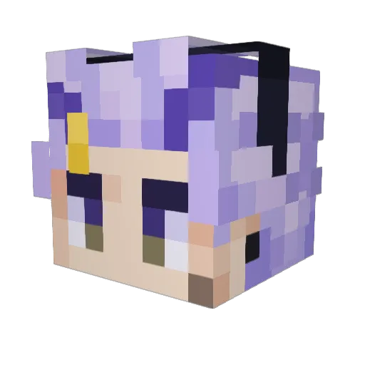 Fishyoin Minecraft avatar head, 3D render