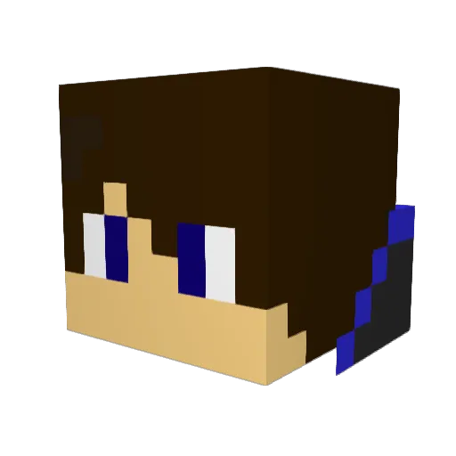 Fishyy__ Minecraft avatar head, 3D render