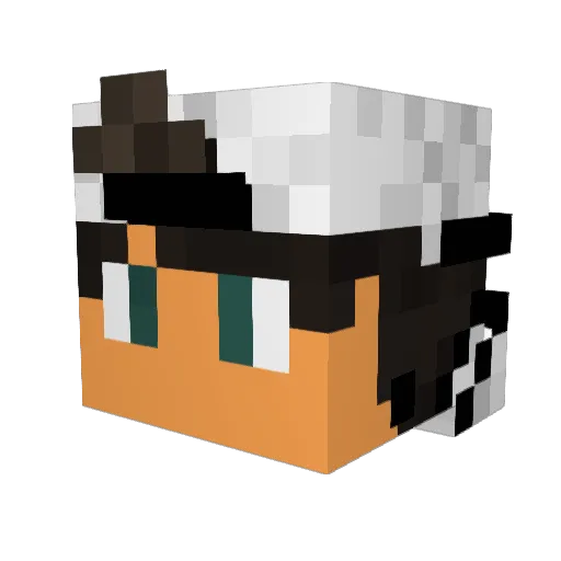 Fisioo Minecraft avatar head, 3D render