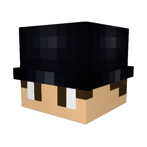 Fisiowy Minecraft avatar head, 3D render