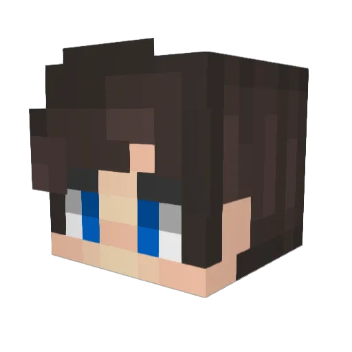 Fisk Minecraft avatar head, 3D render