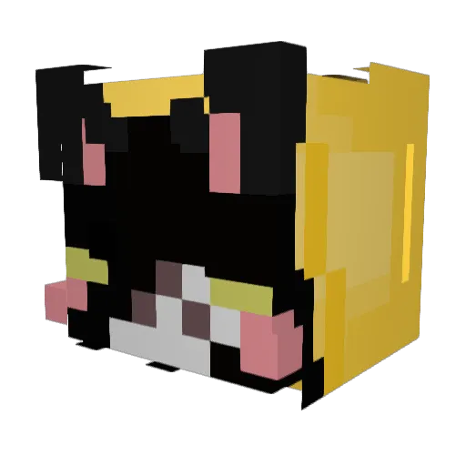 FiskenMalle Minecraft avatar head, 3D render