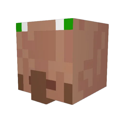 Fiskungen Minecraft avatar head, 3D render