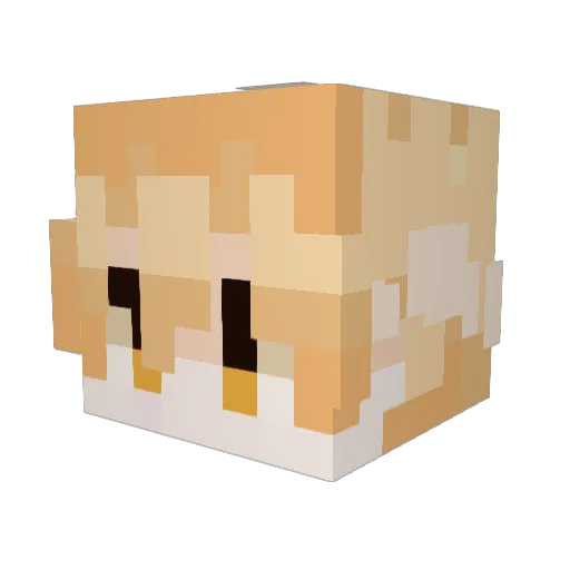 Fiskyou4 Minecraft avatar head, 3D render