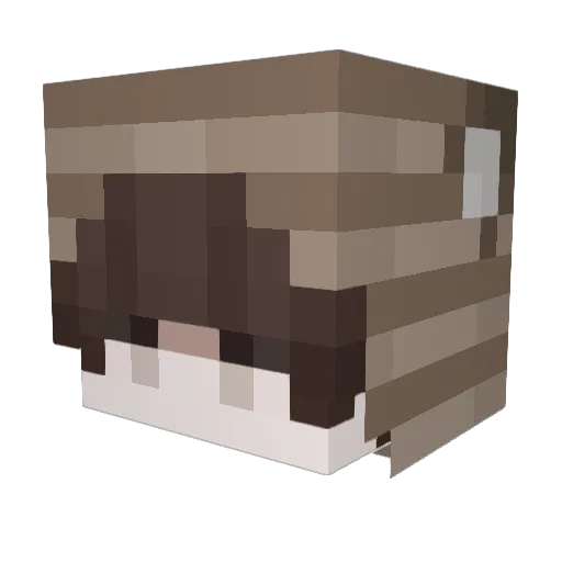 Fisqusek Minecraft avatar head, 3D render