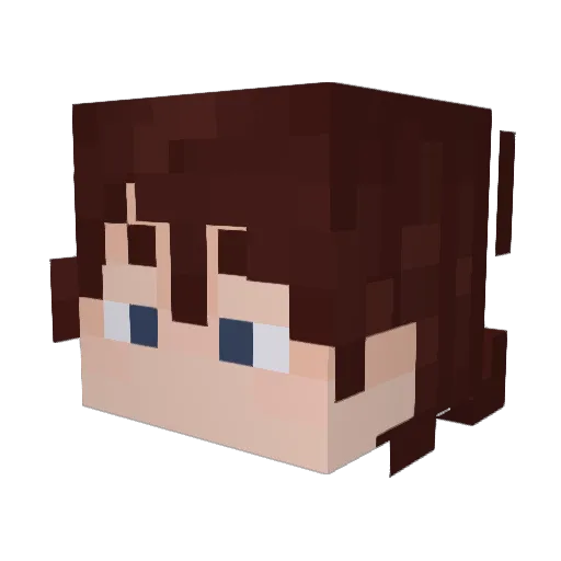 Fissure10 Minecraft avatar head, 3D render
