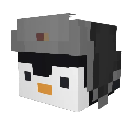 Fit0_ Minecraft avatar head, 3D render