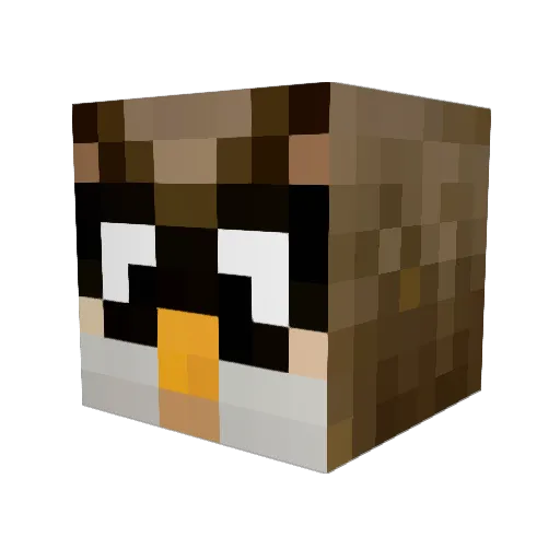Fitchyowl Minecraft avatar head, 3D render