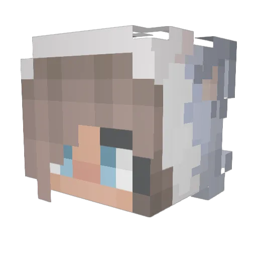 FiteMeM8 Minecraft avatar head, 3D render
